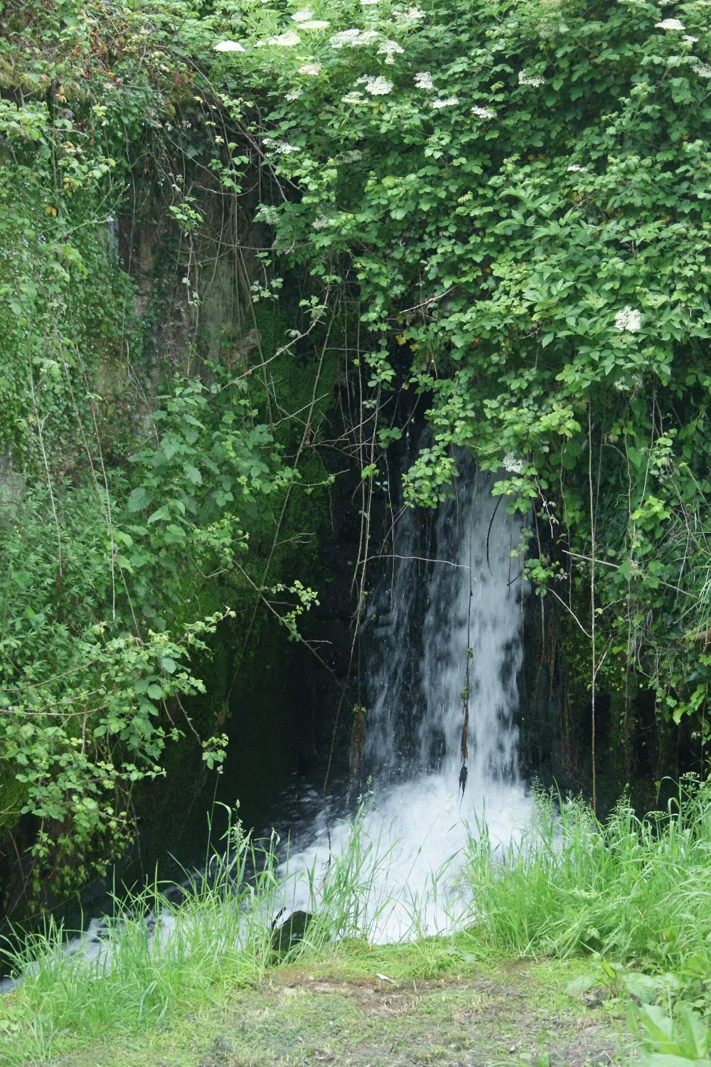 La cascade du Vaupreux qui traverse la propriété